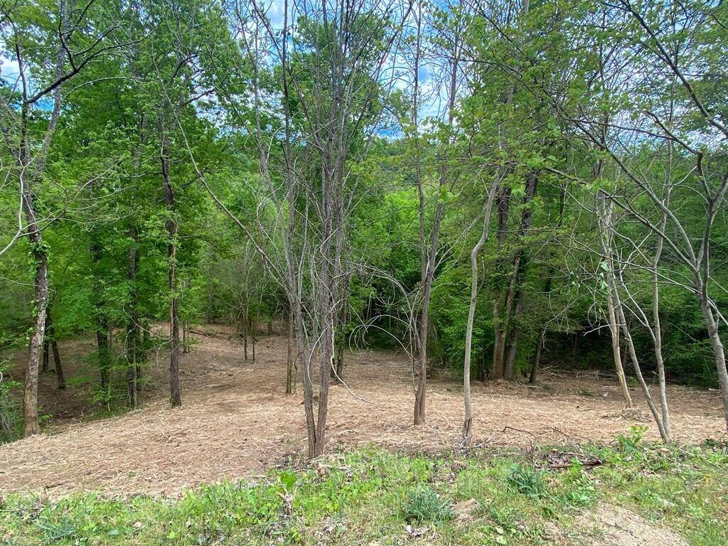 Dandridge, TN 37725,Lot 25 Stone Bridge DR