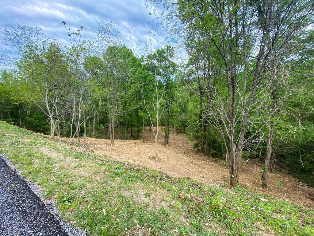 Dandridge, TN 37725,Lot 25 Stone Bridge DR