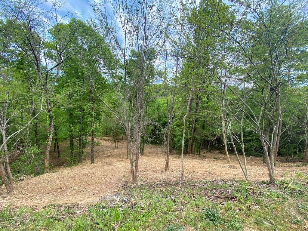 Dandridge, TN 37725,Lot 25 Stone Bridge DR