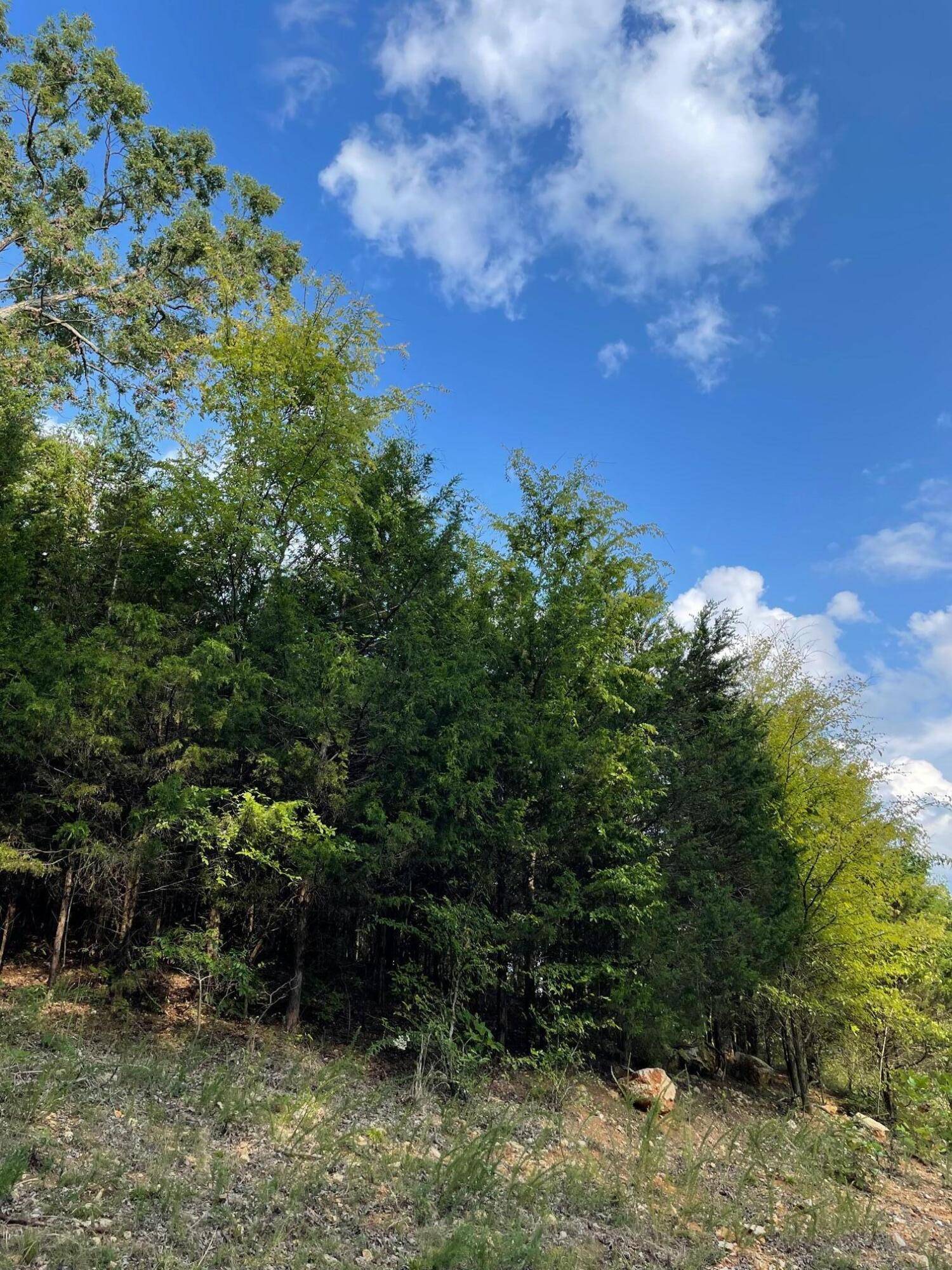 White Pine, TN 37890,Lot 5 Oaken Gate