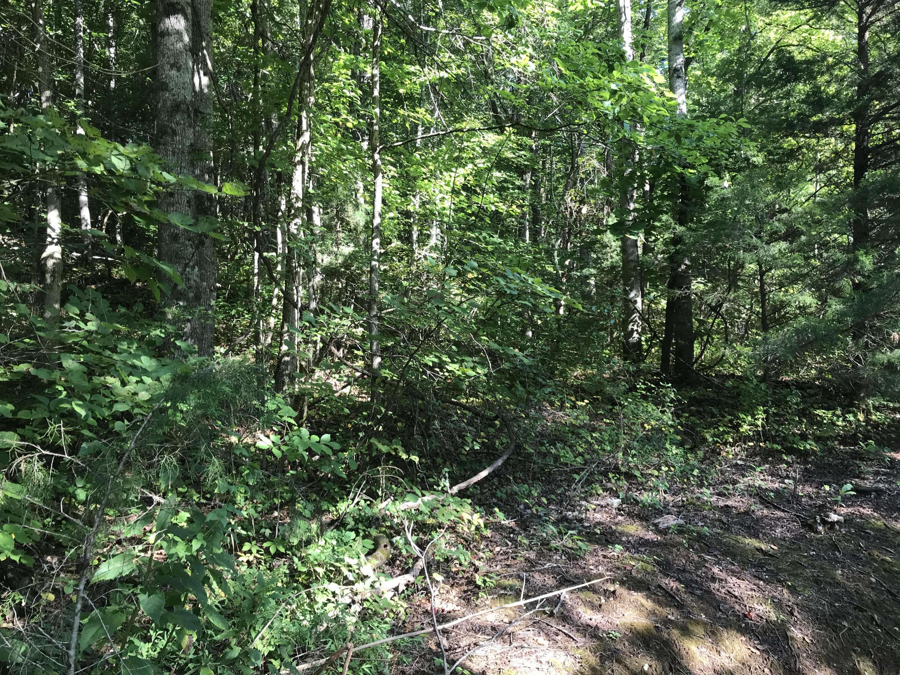 Tellico Plains, TN 37385,1 Mt. Pleasant Rd