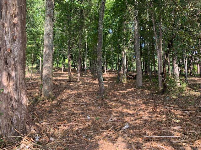 Rockwood, TN 37854,Shore lot 43 DR