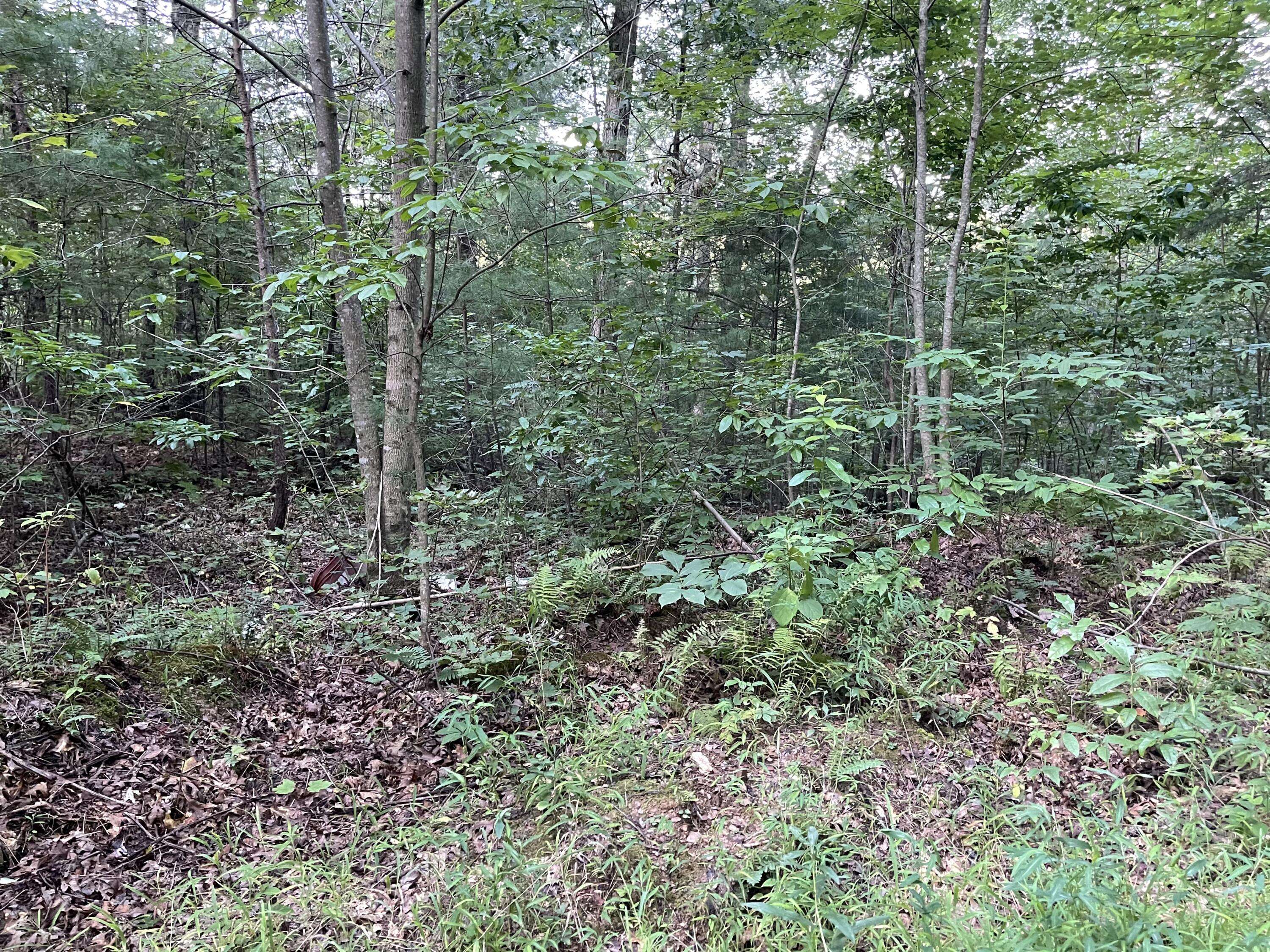 Tellico Plains, TN 37385,109 Bailey Rd