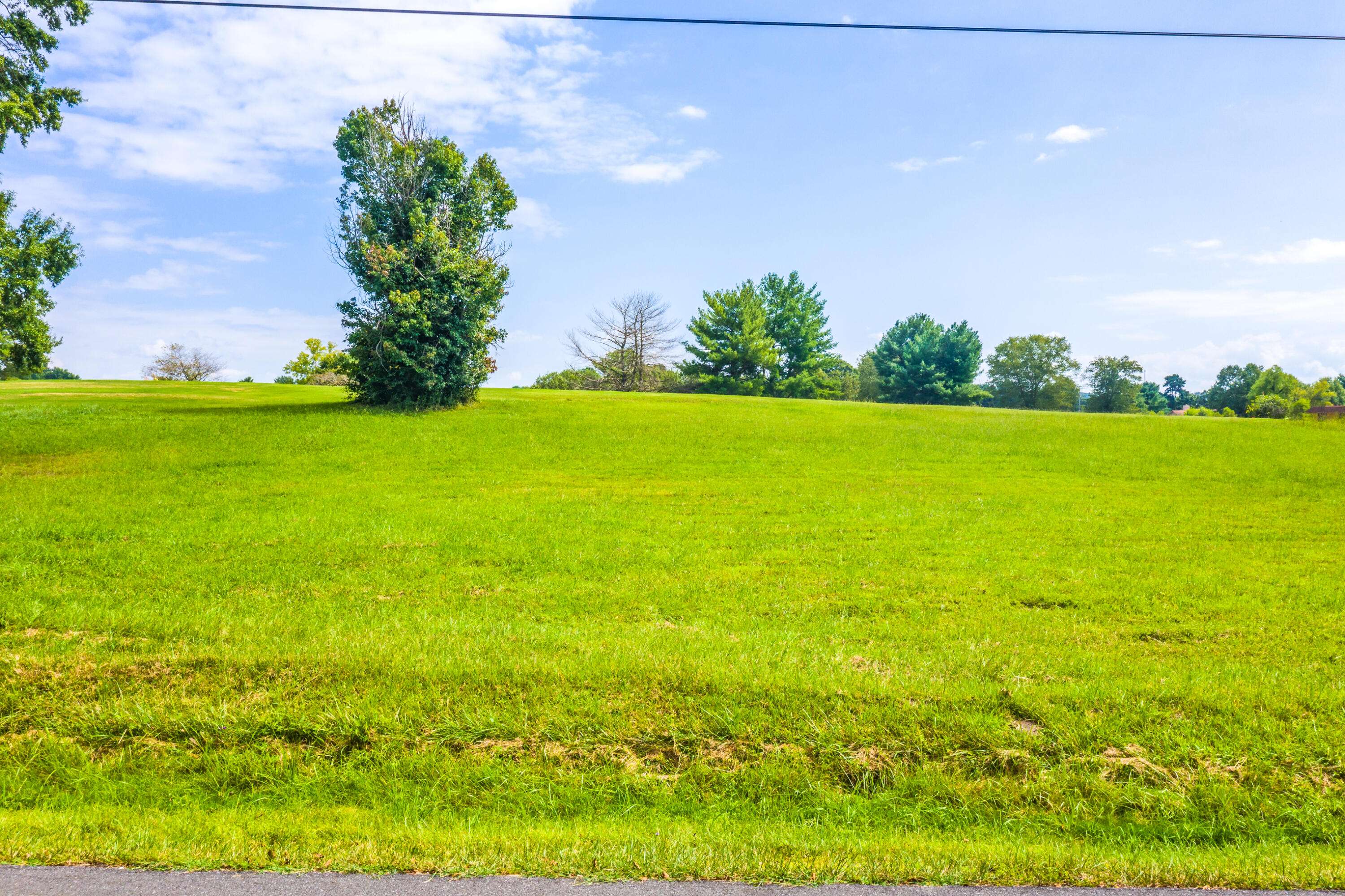 Baneberry, TN 37890,Lot 2107 Back Nine DR