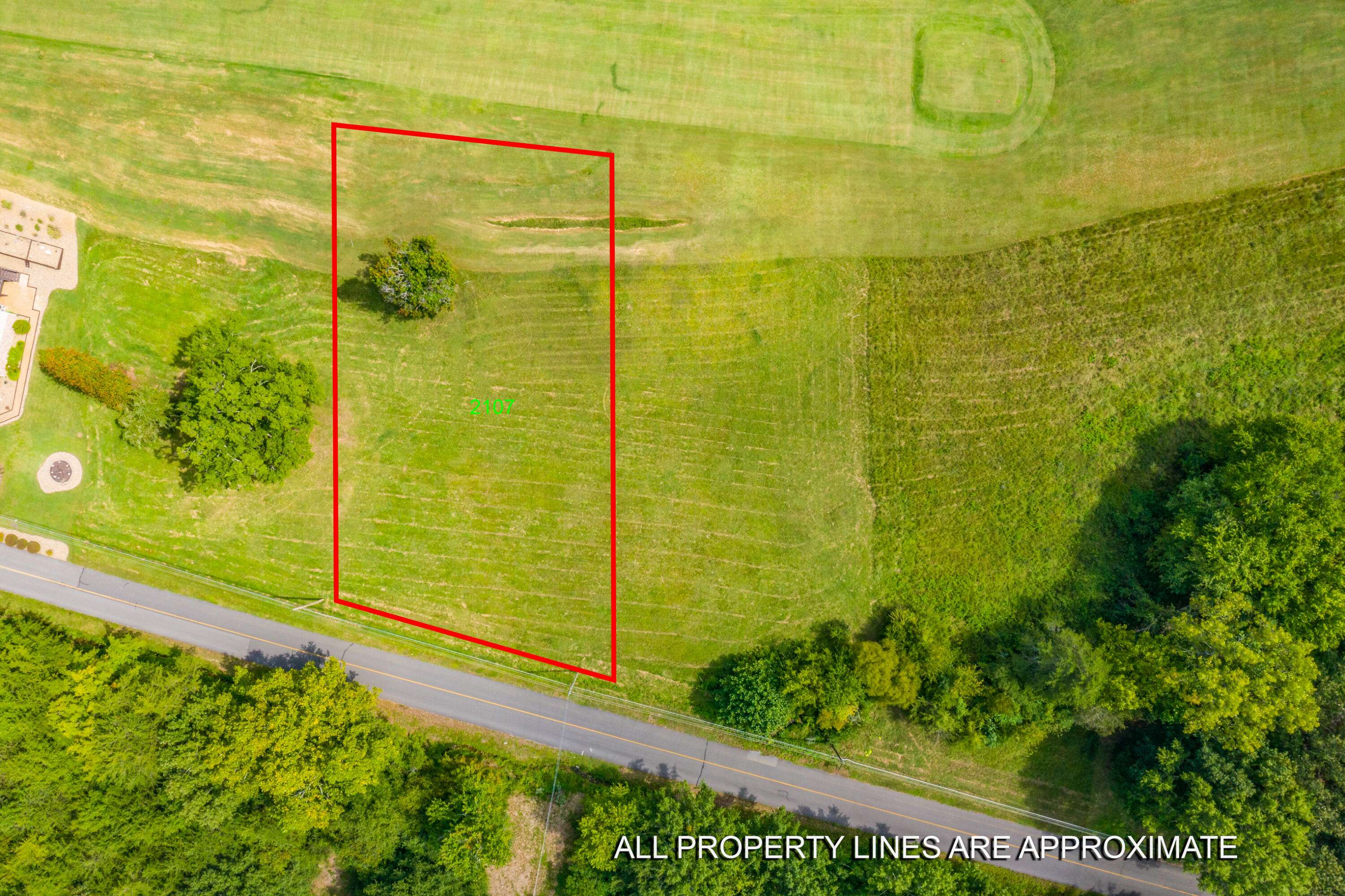 Baneberry, TN 37890,Lot 2107 Back Nine DR