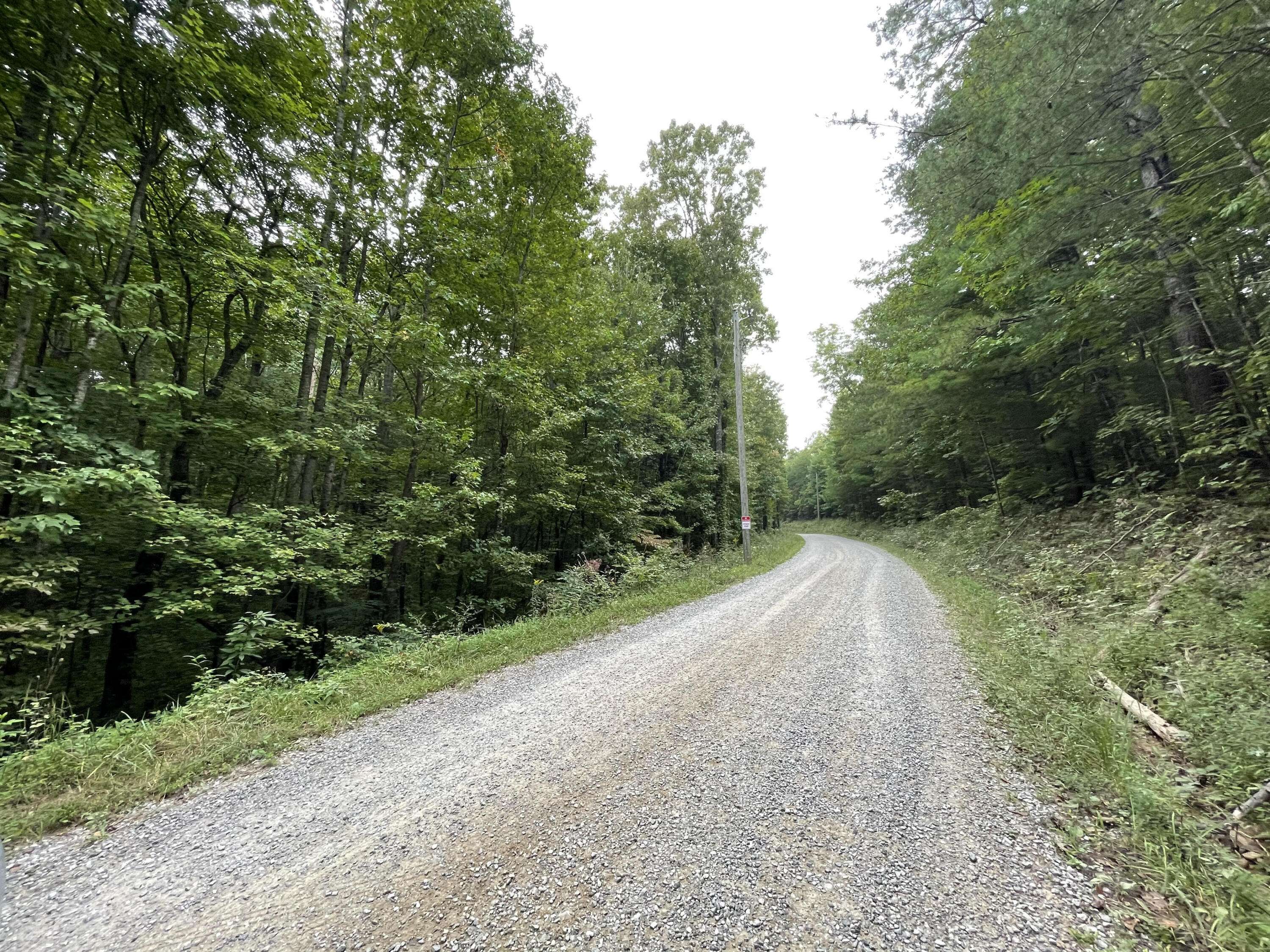 Tellico Plains, TN 37385,348 Harold Witt Rd