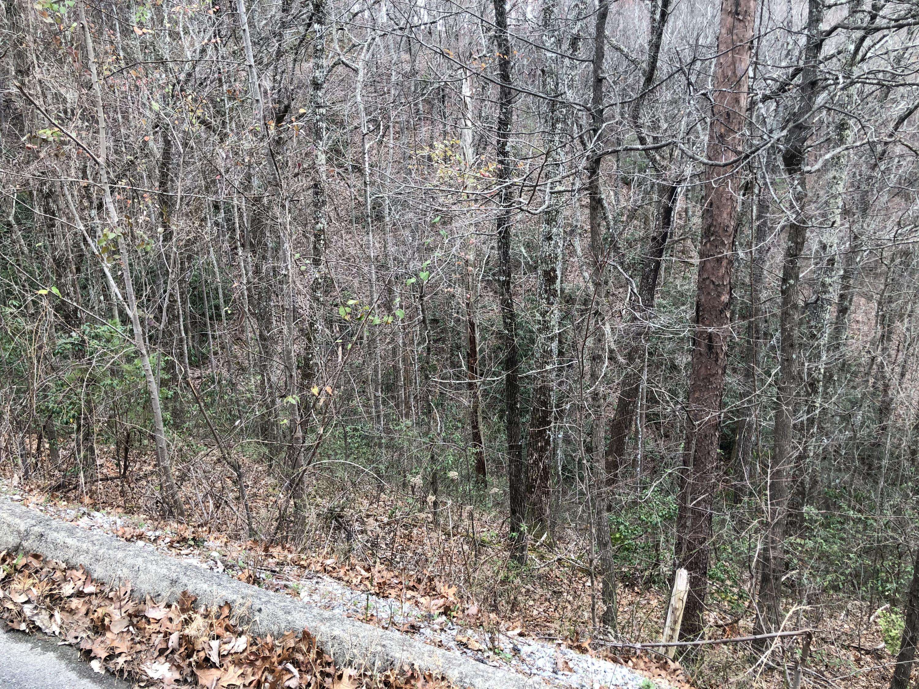 Sevierville, TN 37862,Spurling WAY