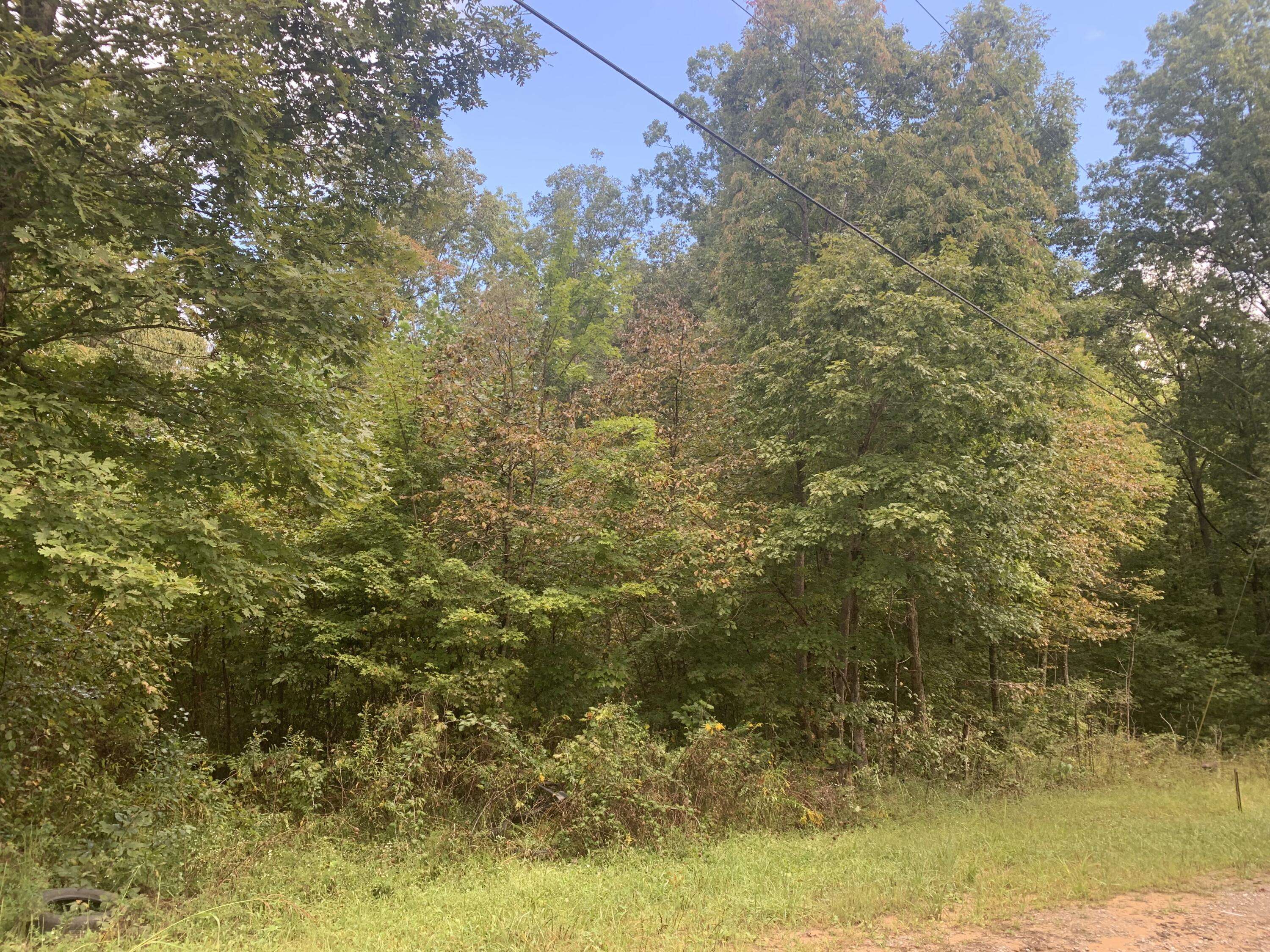 Crossville, TN 38572,Buck CT