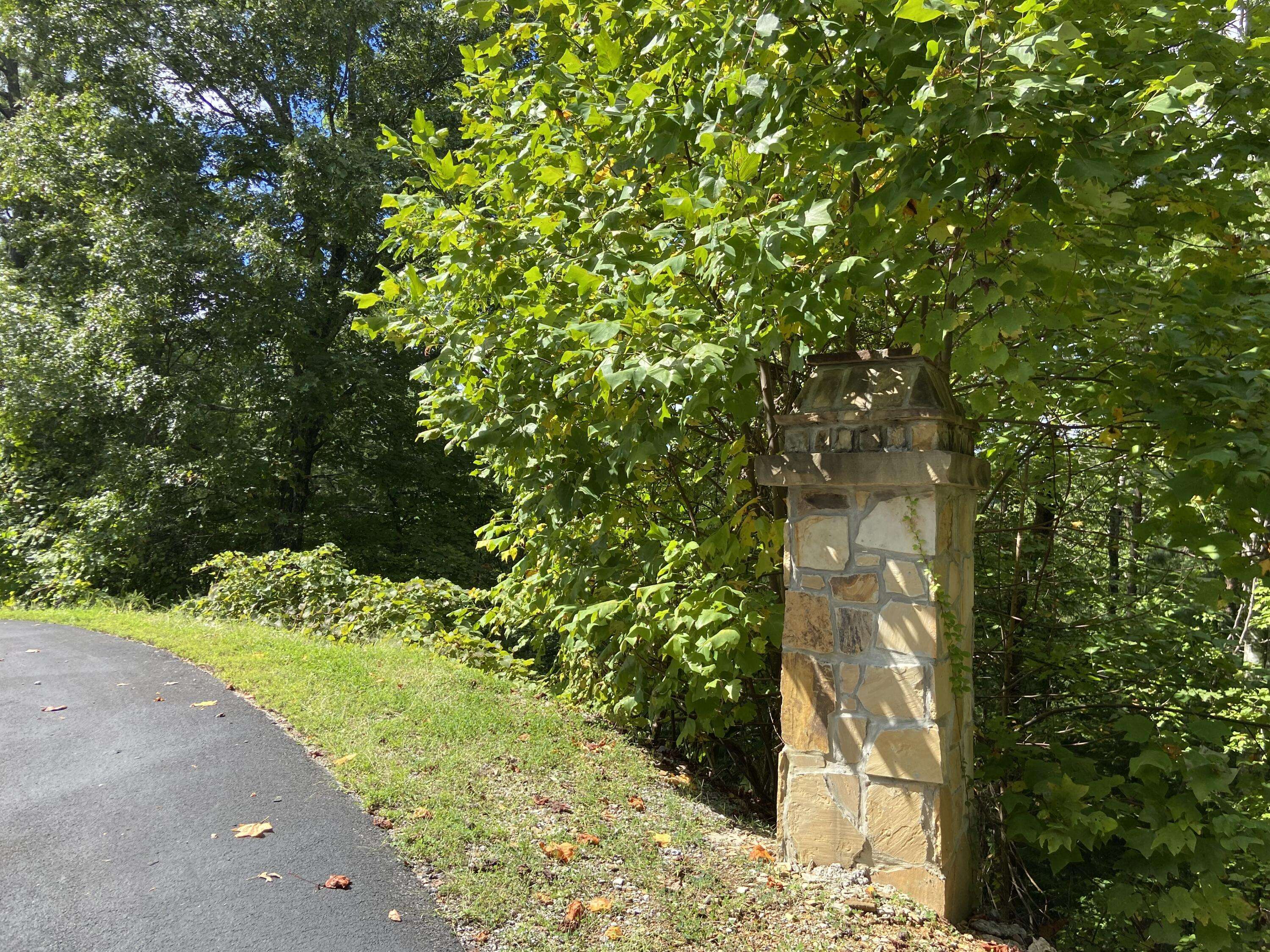 Sevierville, TN 37862,Long Rifle, Lot 119 Rd