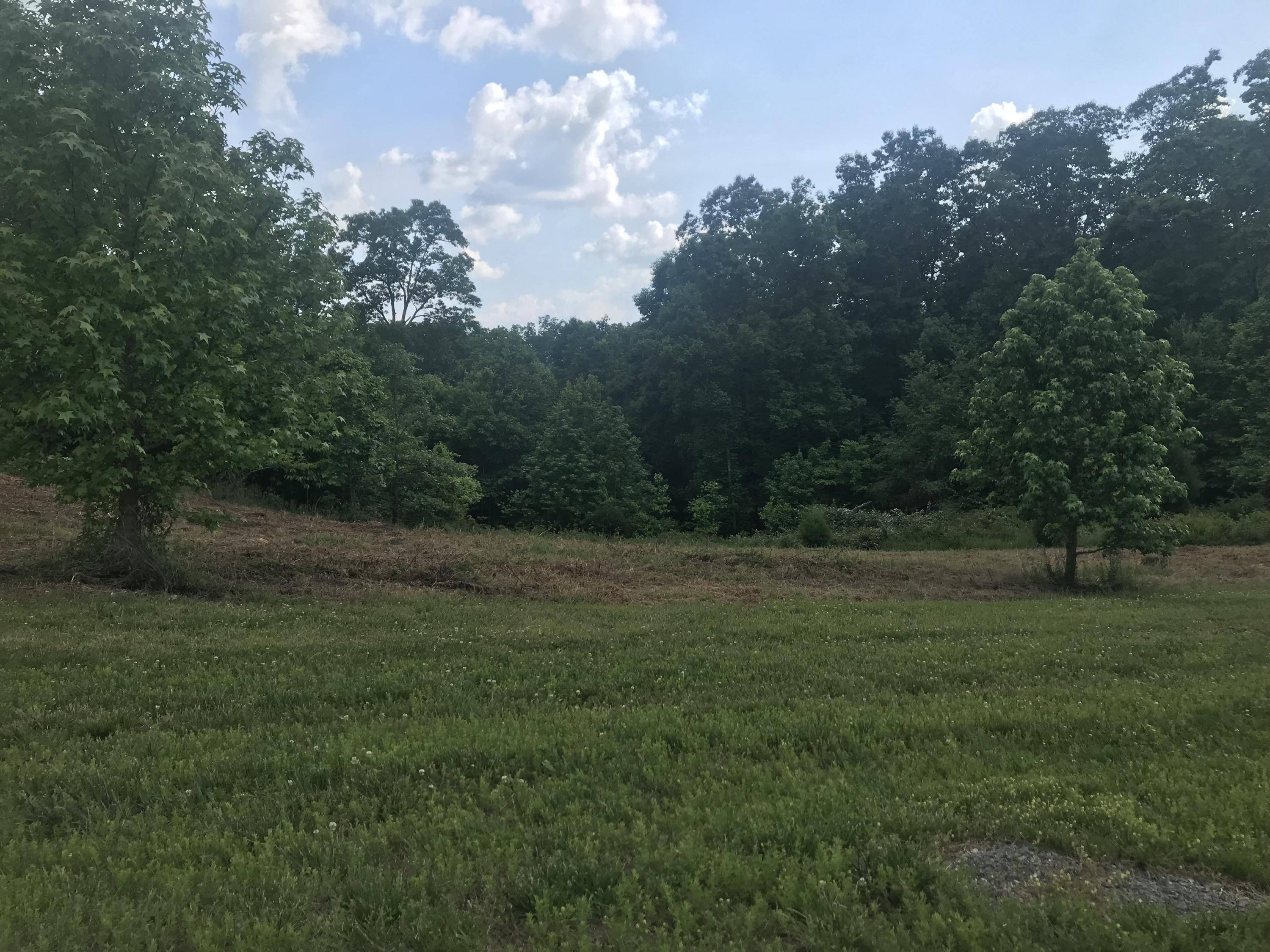 Rockwood, TN 37854,Mountain DR