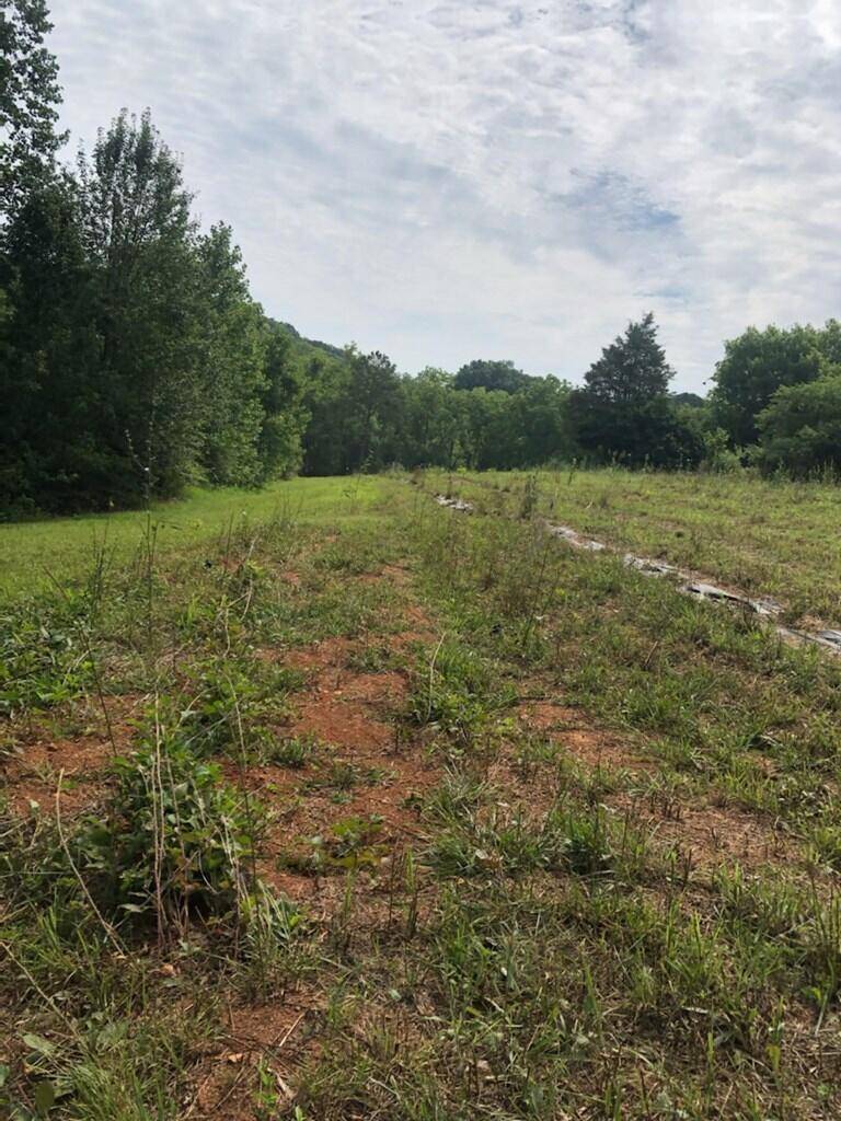 Morristown, TN 37814,Lot 6 Old Liberty Hill Rd