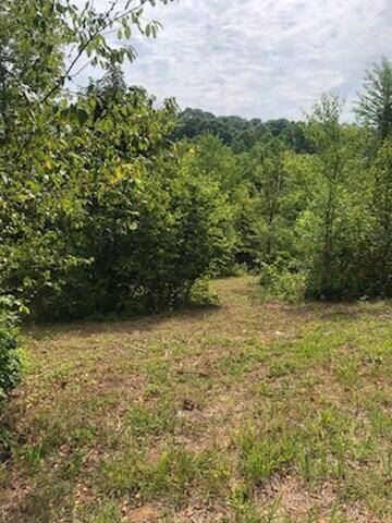 Morristown, TN 37814,Lot 1 Old Liberty Hill Rd