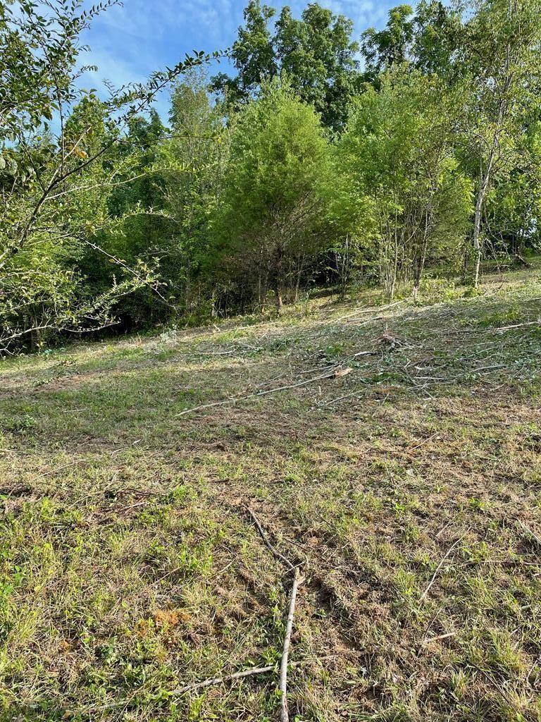 Morristown, TN 37814,Lot 1 Old Liberty Hill Rd