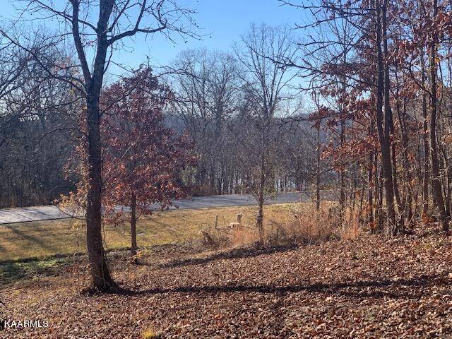 Rockwood, TN 37854,W. Mountain Dr. Lot 380