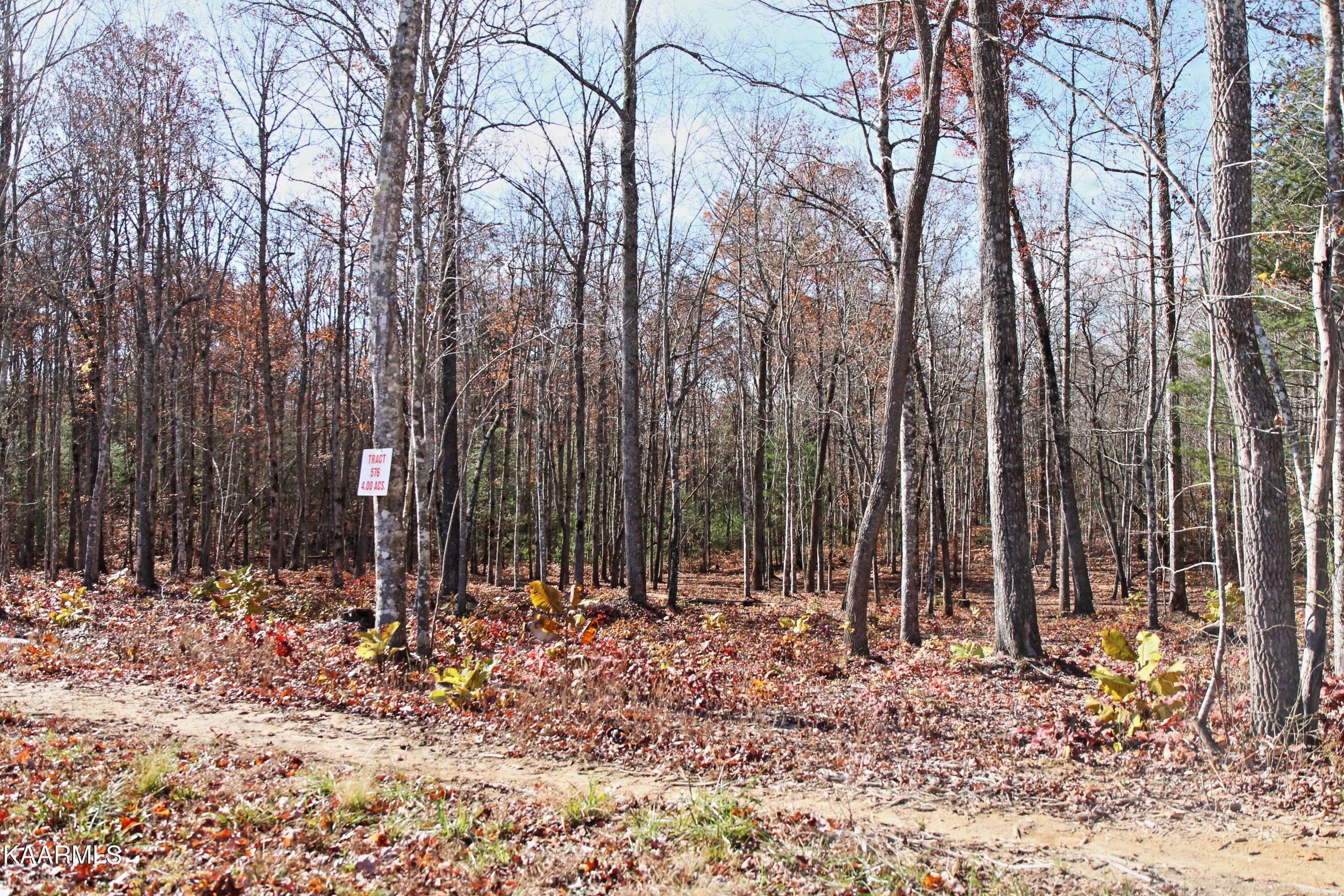 Jamestown, TN 38556,lot 576 Spruce Creek DR