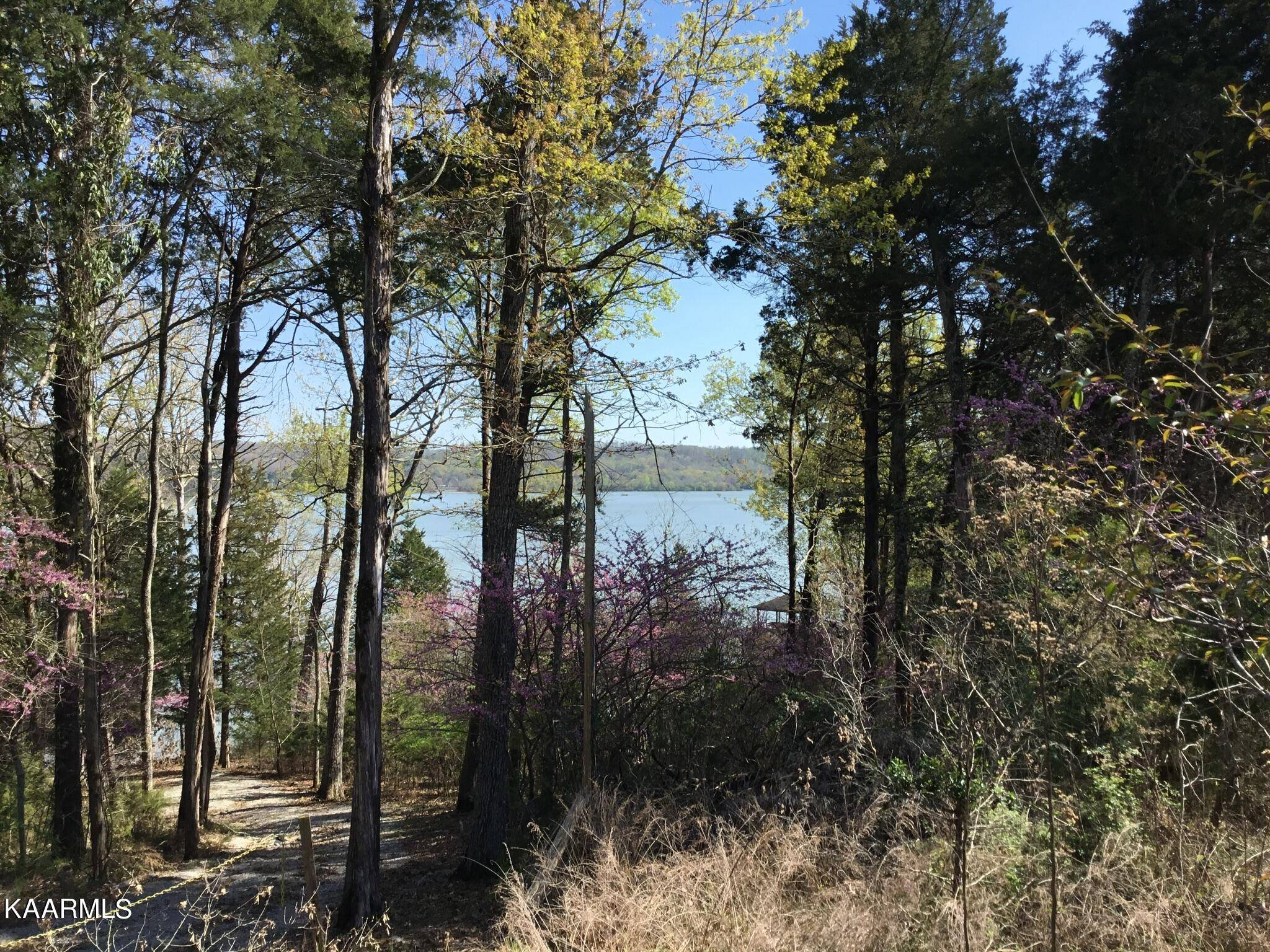 Rockwood, TN 37854,Lot 109 Shore LN