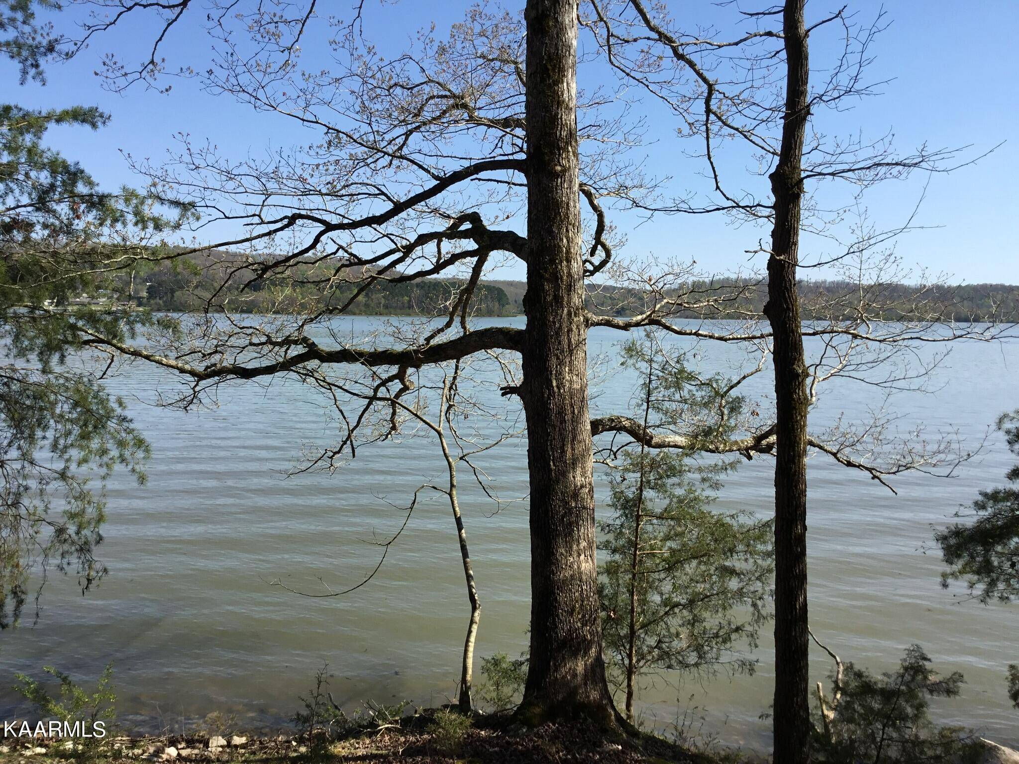 Rockwood, TN 37854,Lot 109 Shore LN