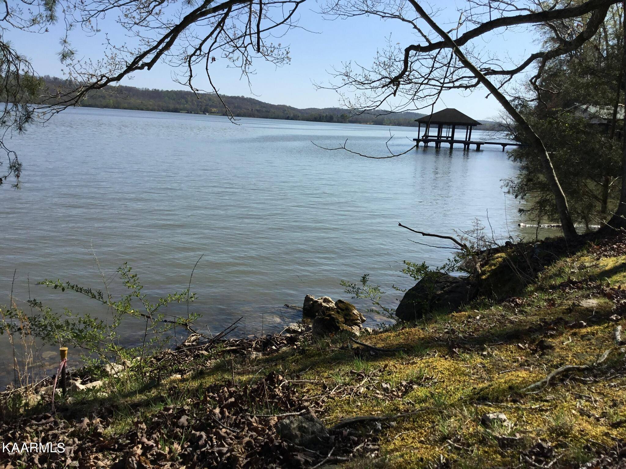 Rockwood, TN 37854,Lot 109 Shore LN