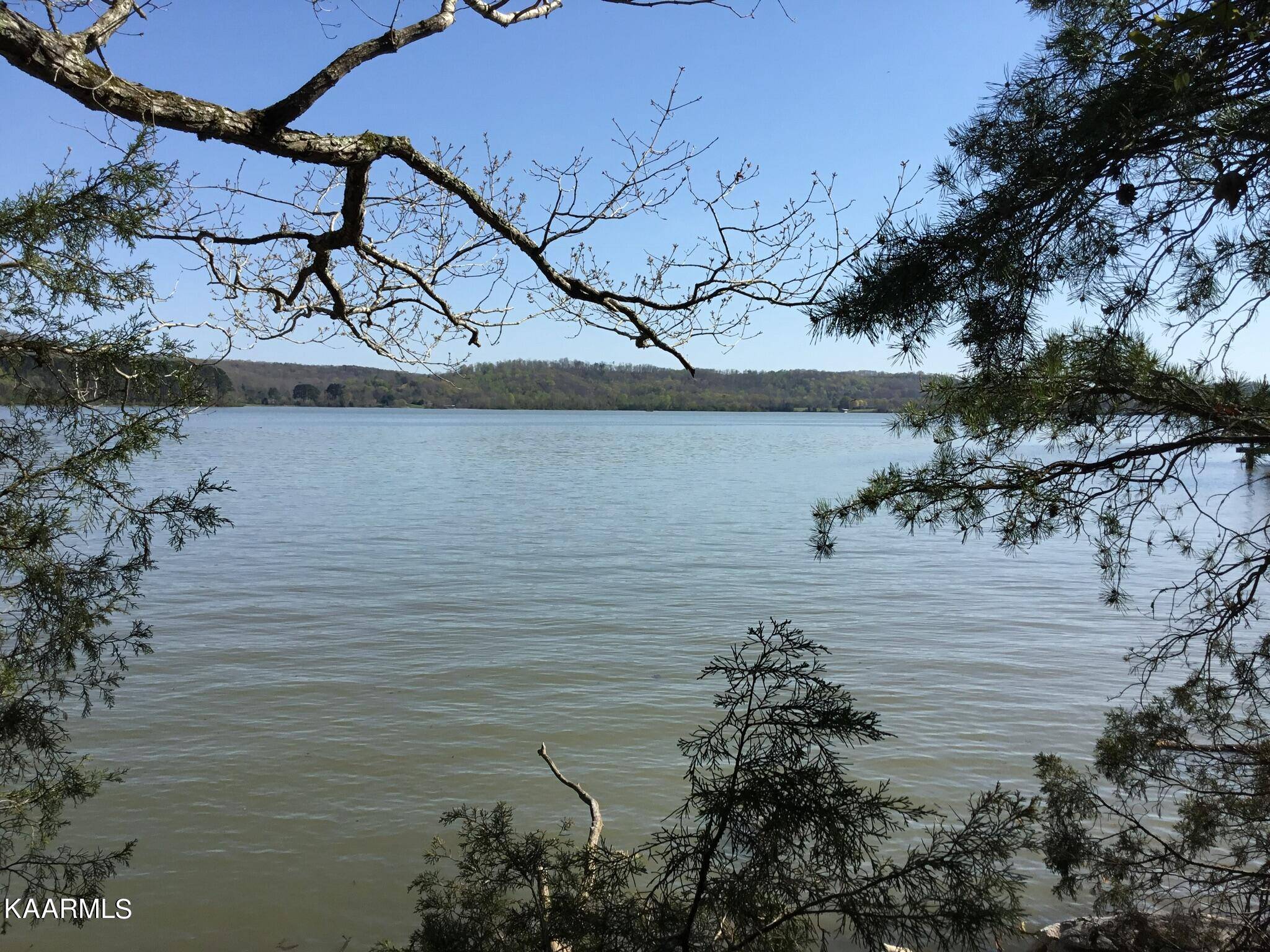 Rockwood, TN 37854,Lot 109 Shore LN