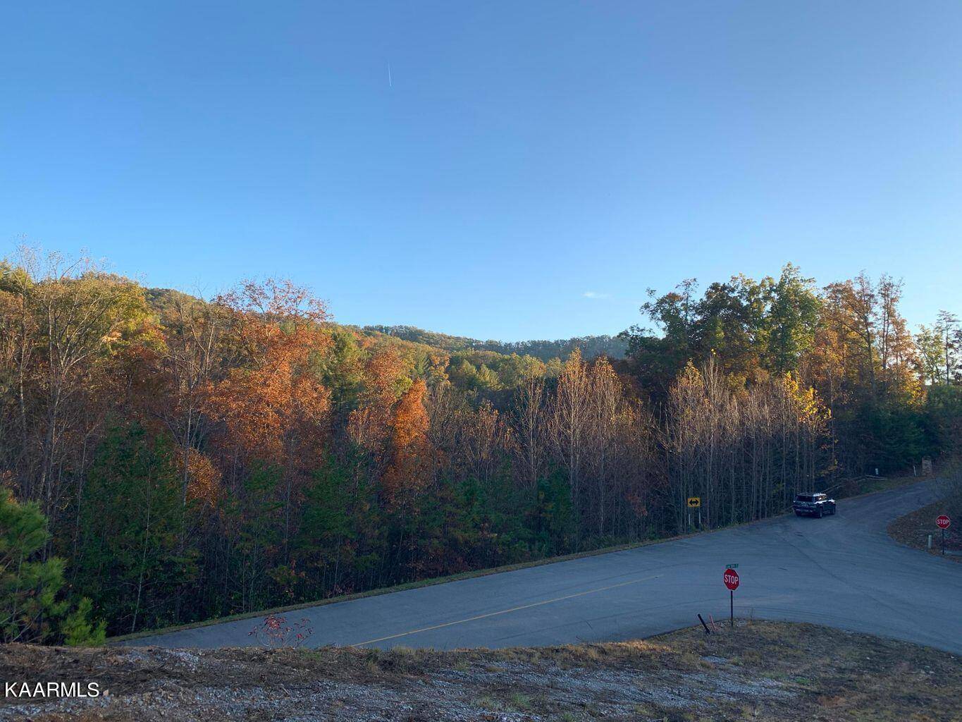 Walland, TN 37886,Lot 1w Long Rifle Rd