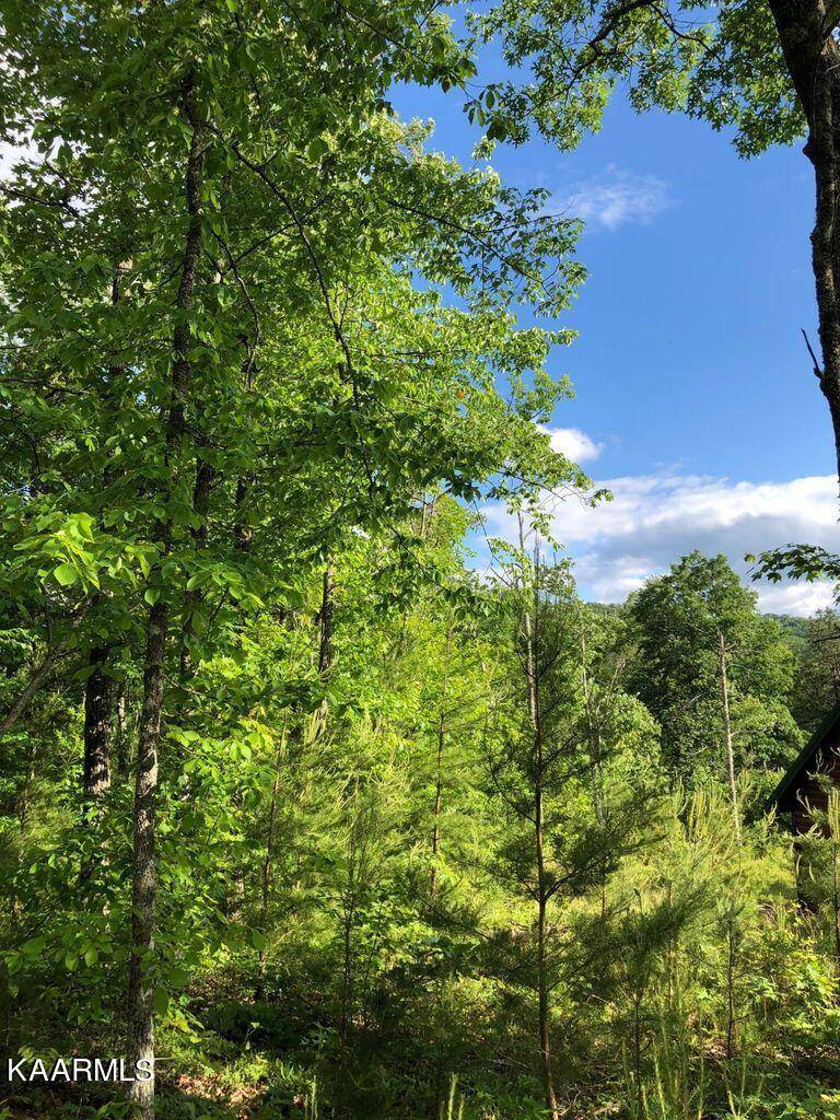 Walland, TN 37886,Lot 15w Hawken DR