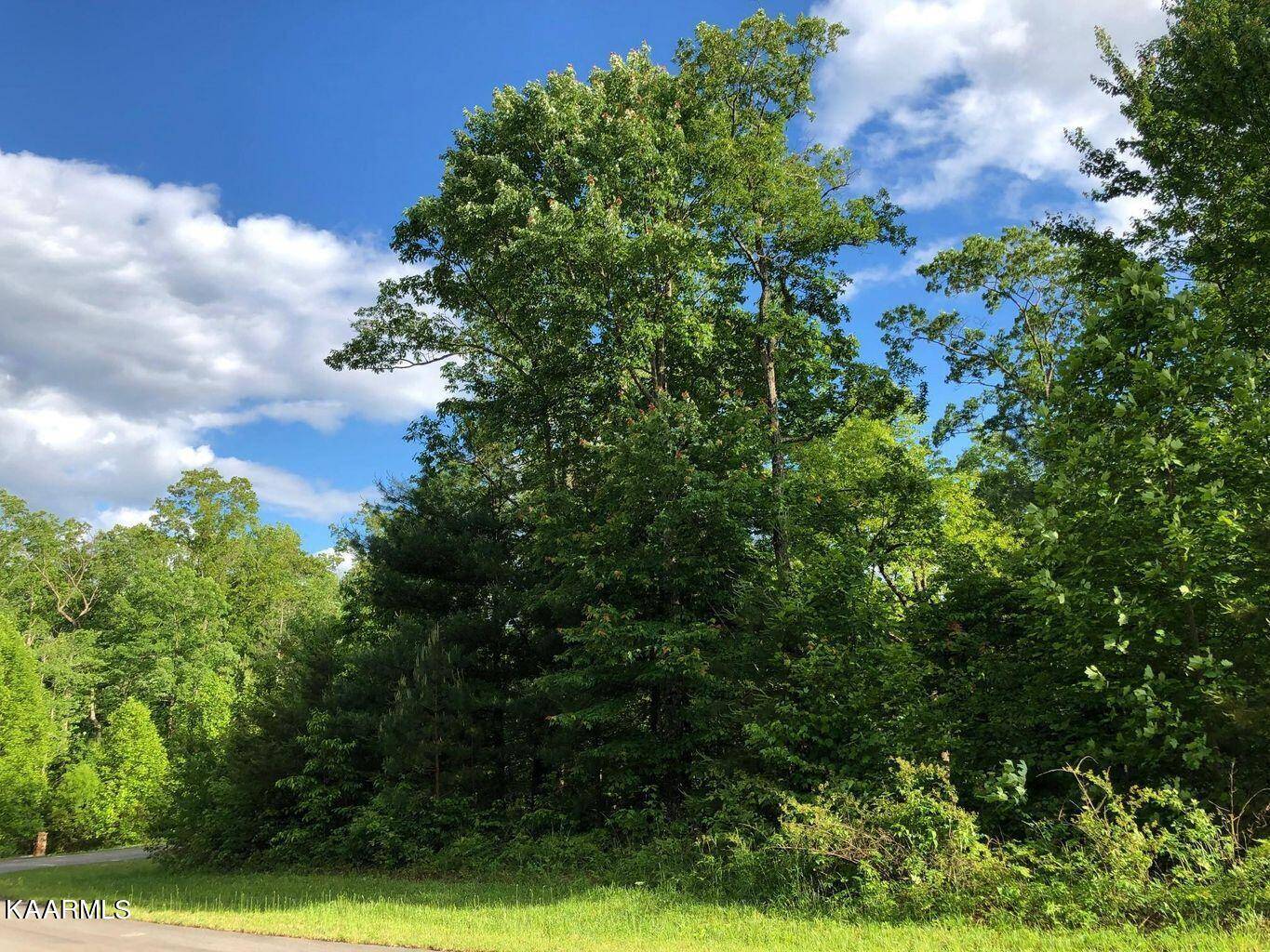 Walland, TN 37886,Lot 15w Hawken DR