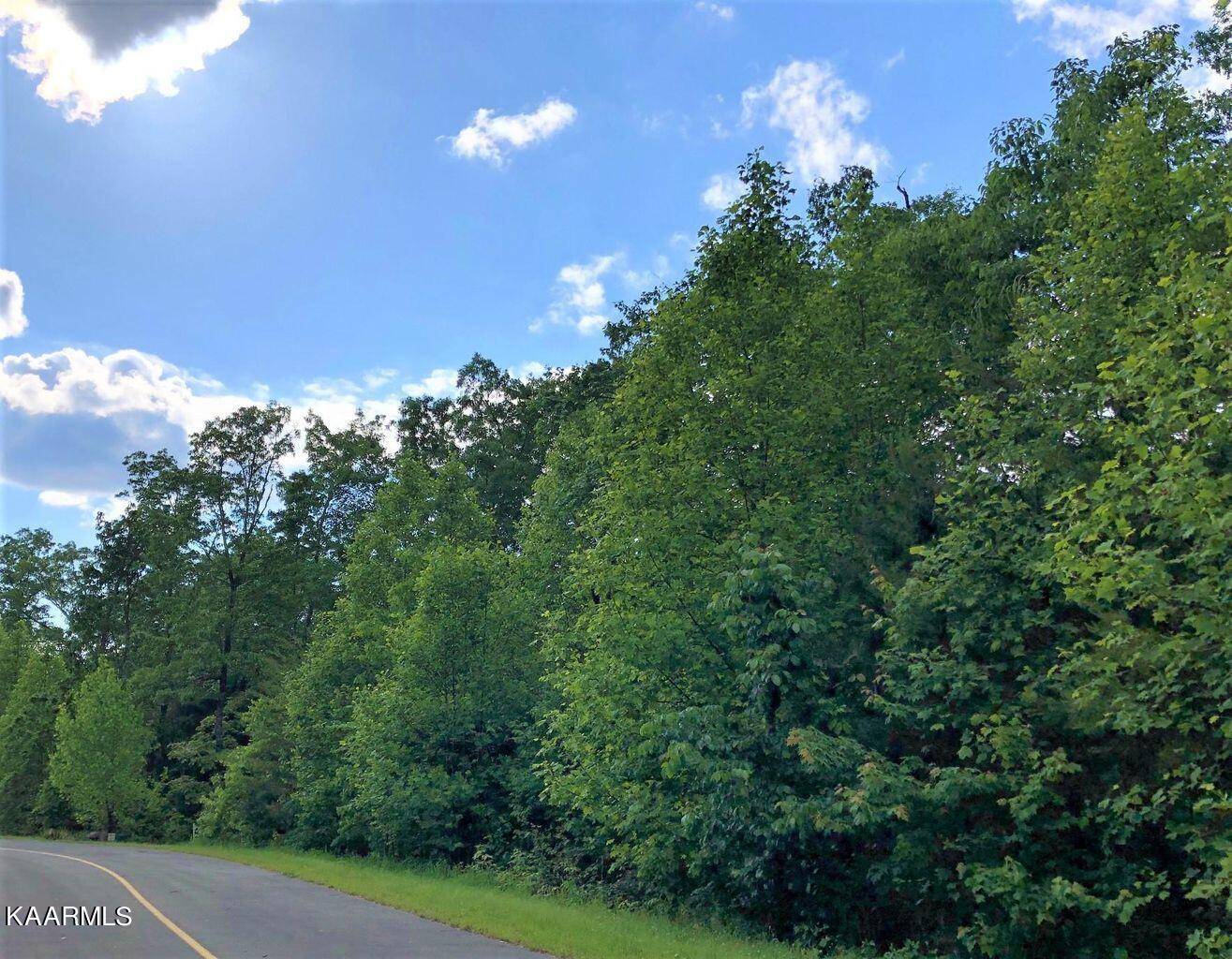 Walland, TN 37886,Lot 22wr Hawken DR