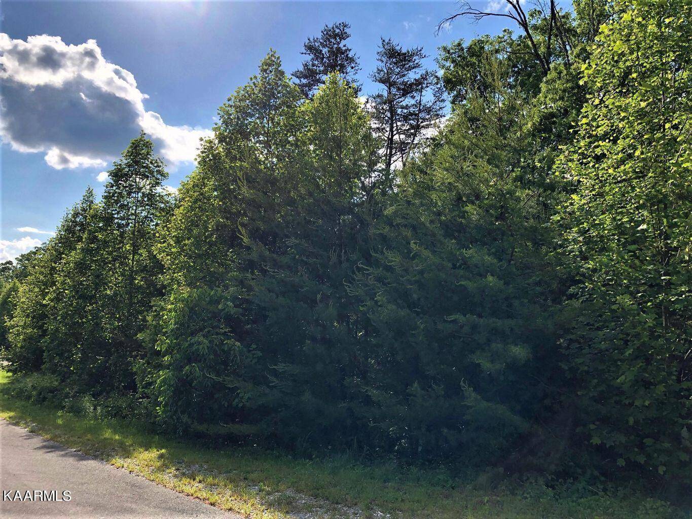 Walland, TN 37886,Lot 22wr Hawken DR