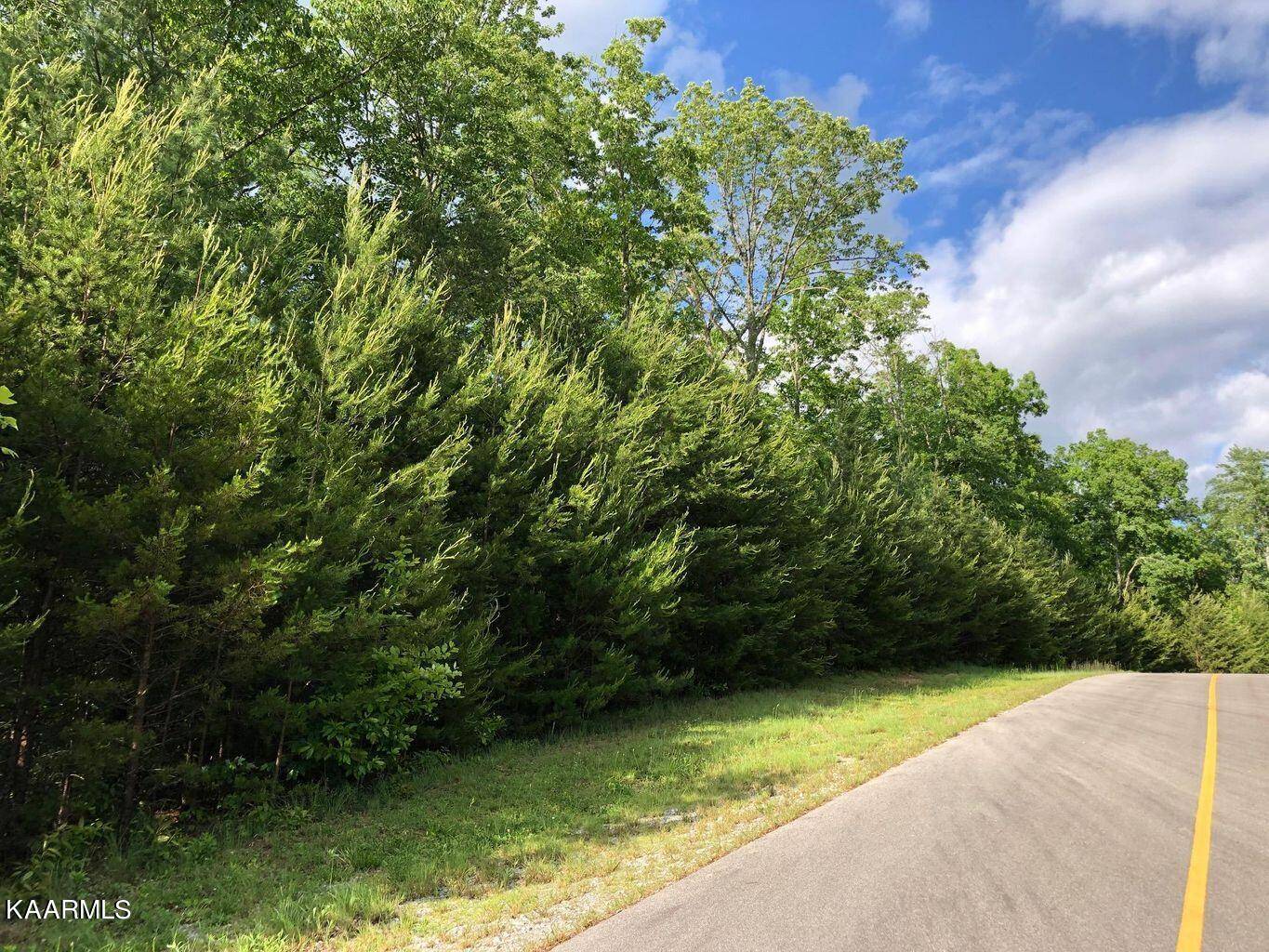 Walland, TN 37886,Lot 22wr Hawken DR