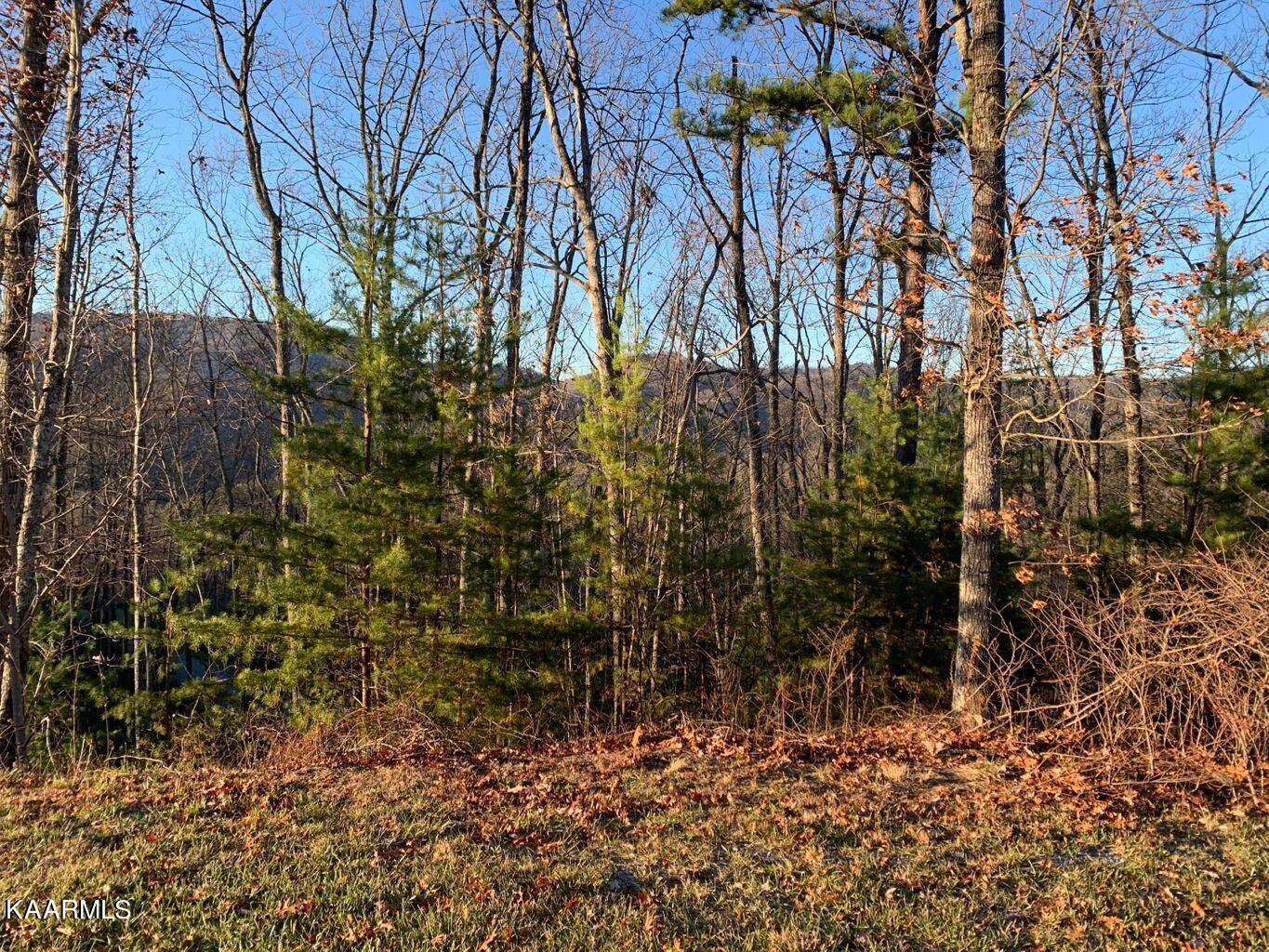 Walland, TN 37886,Lot 86w Long Rifle Rd