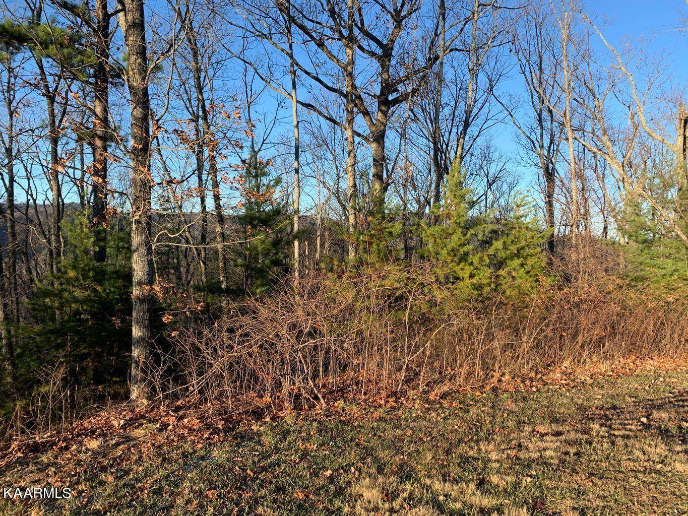 Walland, TN 37886,Lot 86w Long Rifle Rd