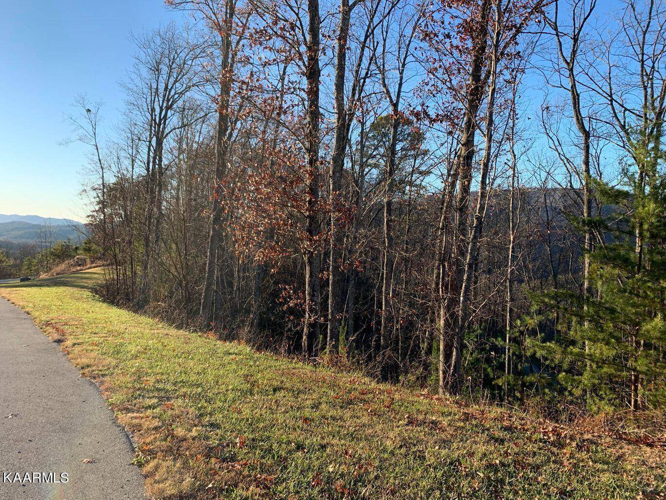 Walland, TN 37886,Lot 86w Long Rifle Rd