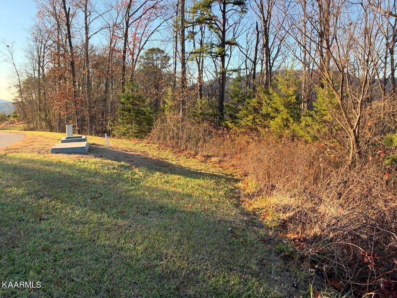 Walland, TN 37886,Lot 86w Long Rifle Rd