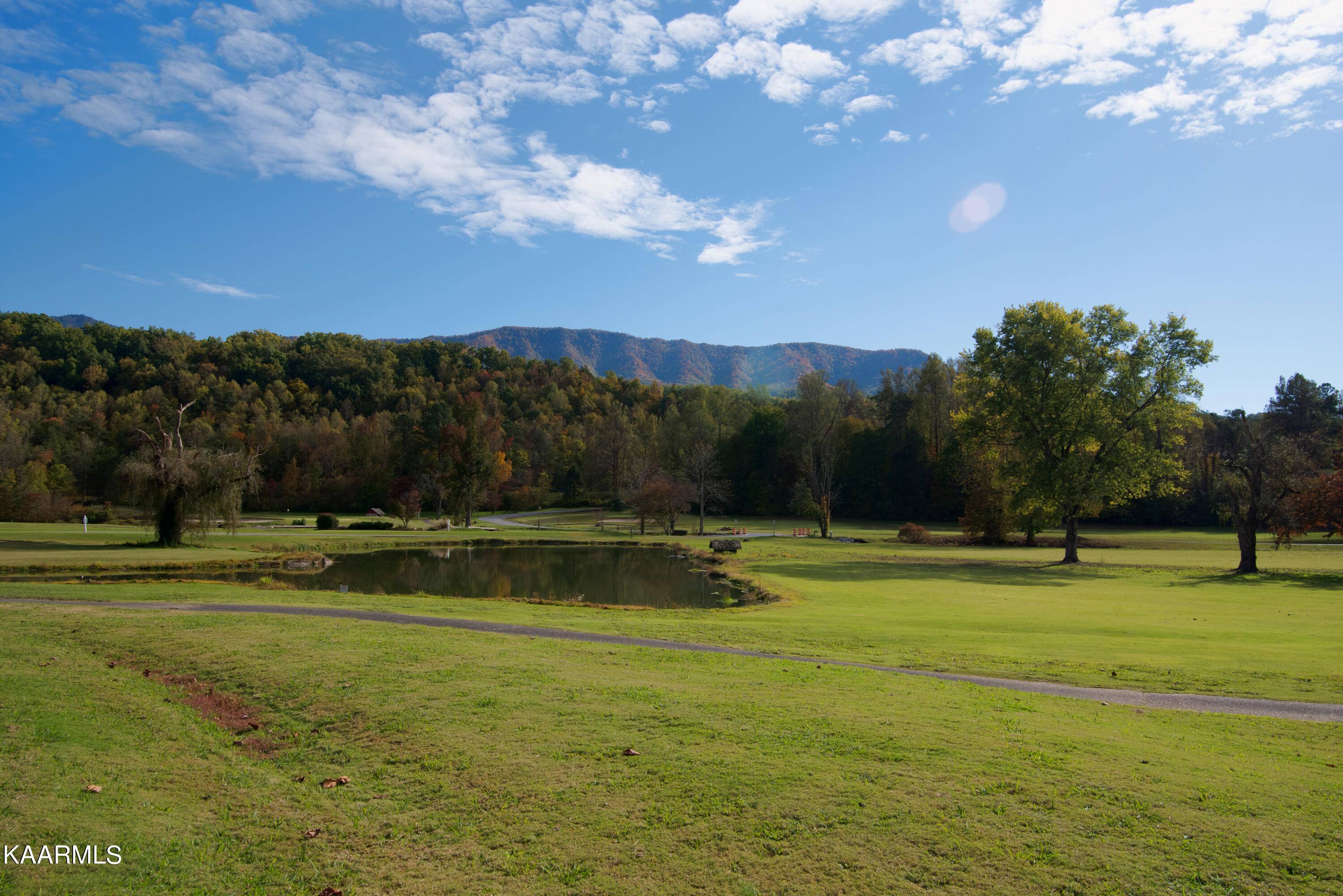 Gatlinburg, TN 37738,Butler Branch Rd