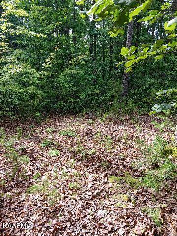 Tellico Plains, TN 37385,Tract 9R Indian Ridge Drive DR