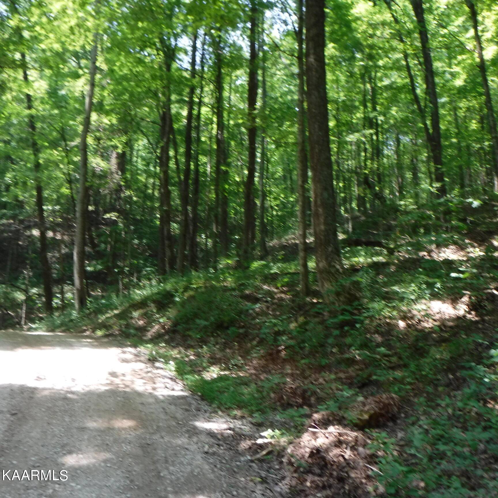 Livingston, TN 38570,18.10 ac Walker Lane