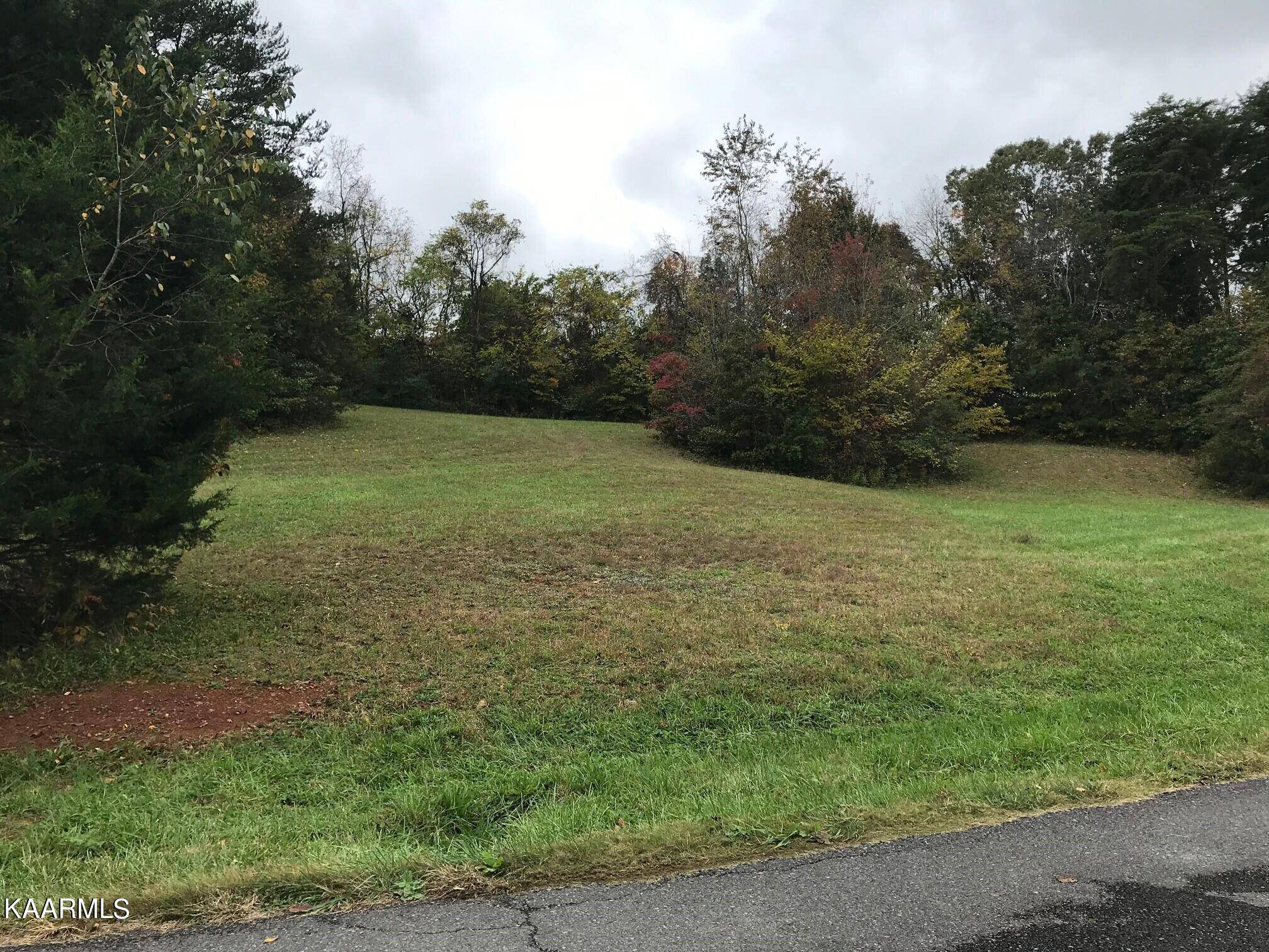 Dandridge, TN 37725,Lot 59 Battlefield DR