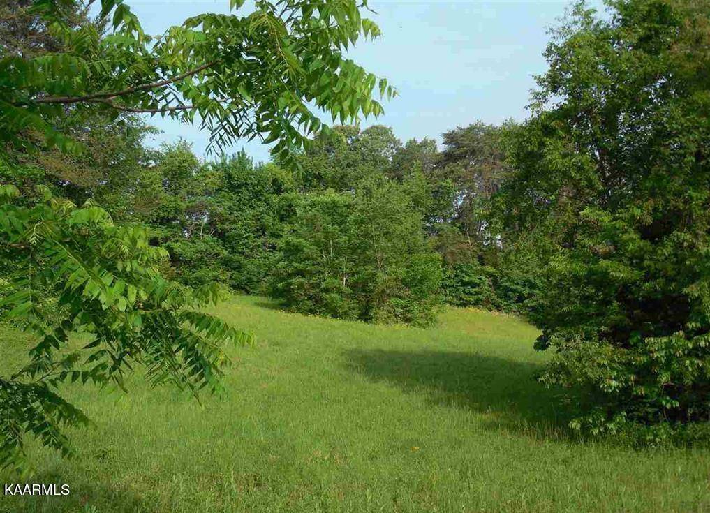 Dandridge, TN 37725,Lot 59 Battlefield DR