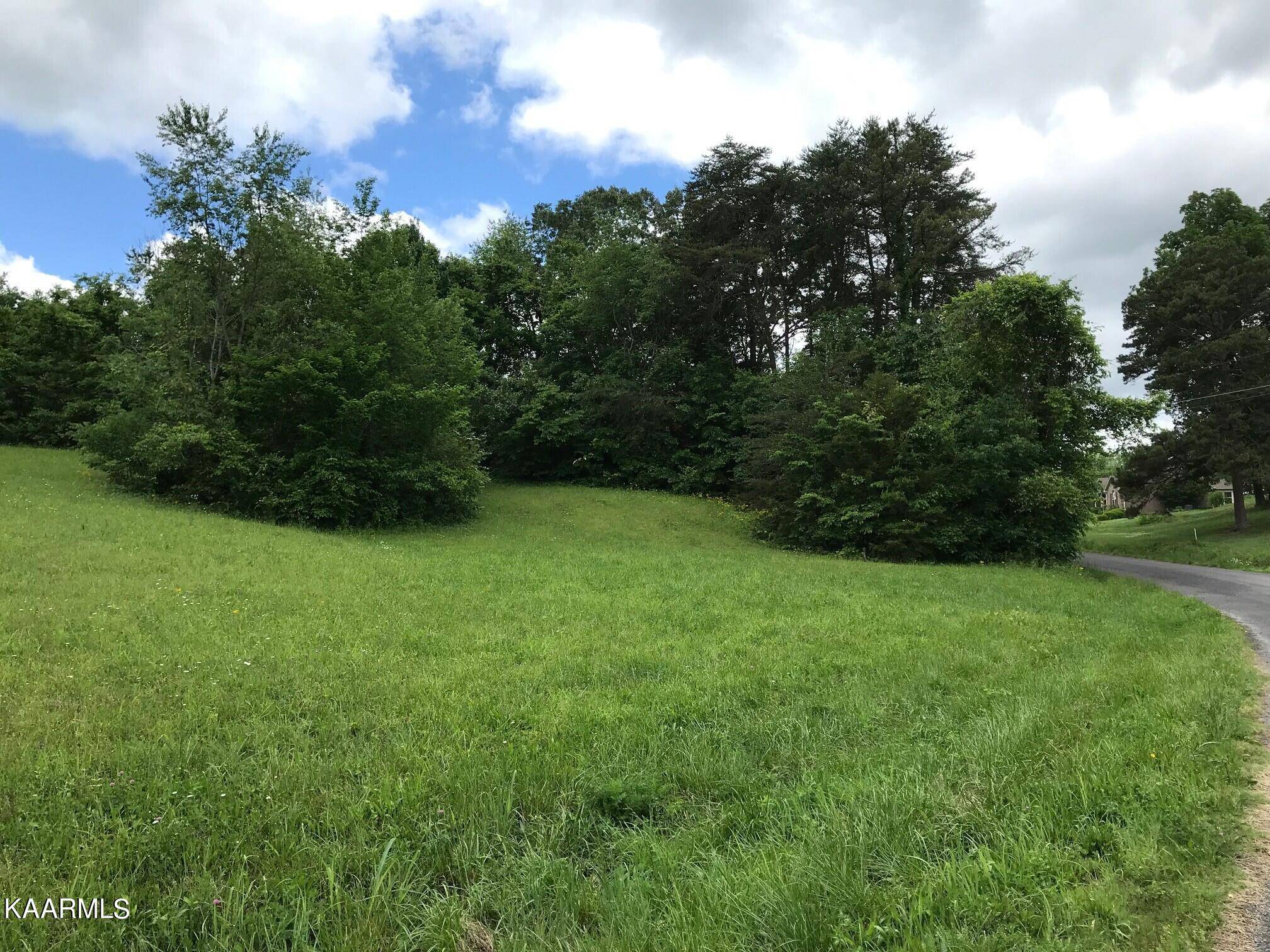 Dandridge, TN 37725,Lot 59 Battlefield DR