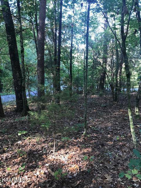 Benton, TN 37307,Lot 6 Mountain View Road