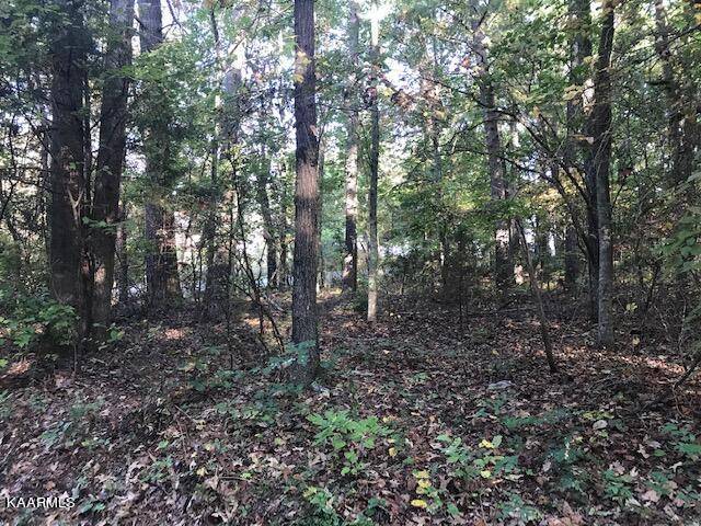 Benton, TN 37307,Lot 6 Mountain View Road