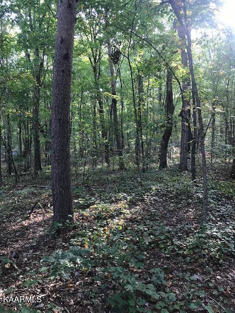 Benton, TN 37307,Lot 6 Mountain View Road