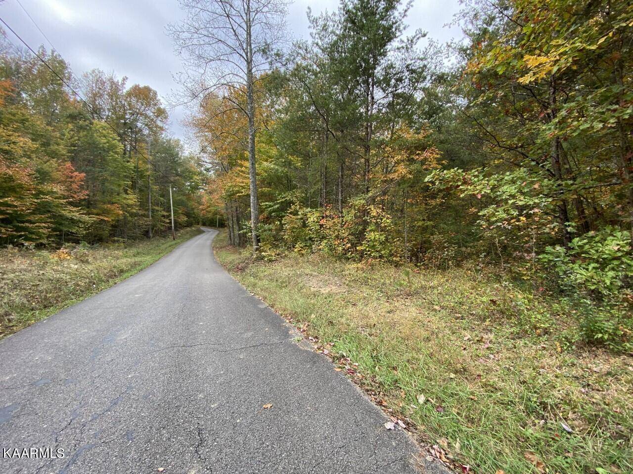 Wartburg, TN 37887,Tract 4 Deermont Rd