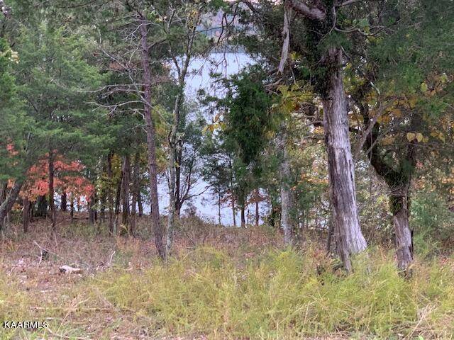 Rockwood, TN 37854,Shore lot 107 DR