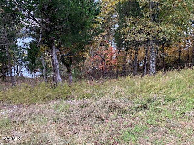 Rockwood, TN 37854,Shore lot 107 DR