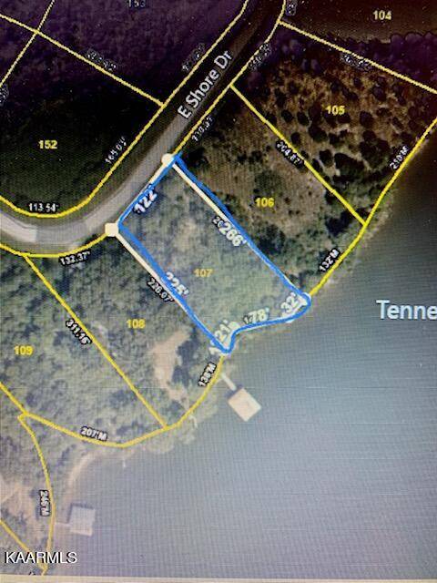 Rockwood, TN 37854,Shore lot 107 DR