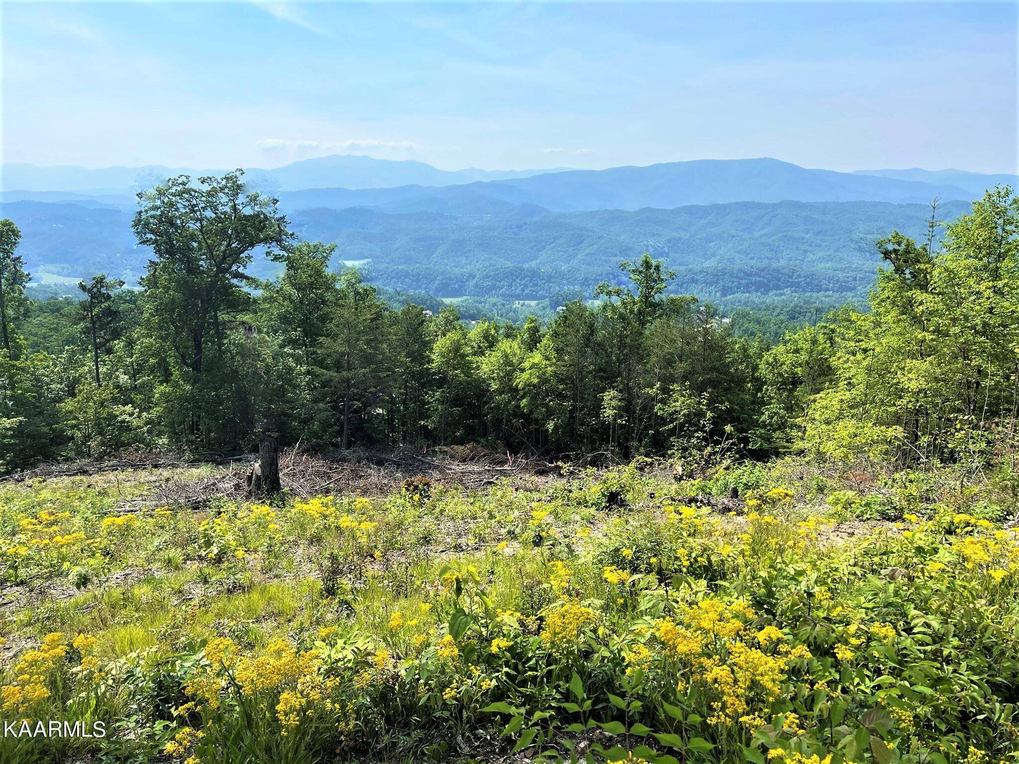 Sevierville, TN 37862,Lot 108 Summit Trails DR