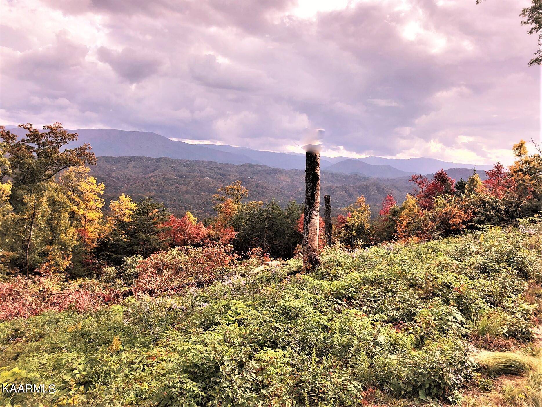 Sevierville, TN 37862,Lot 108 Summit Trails DR