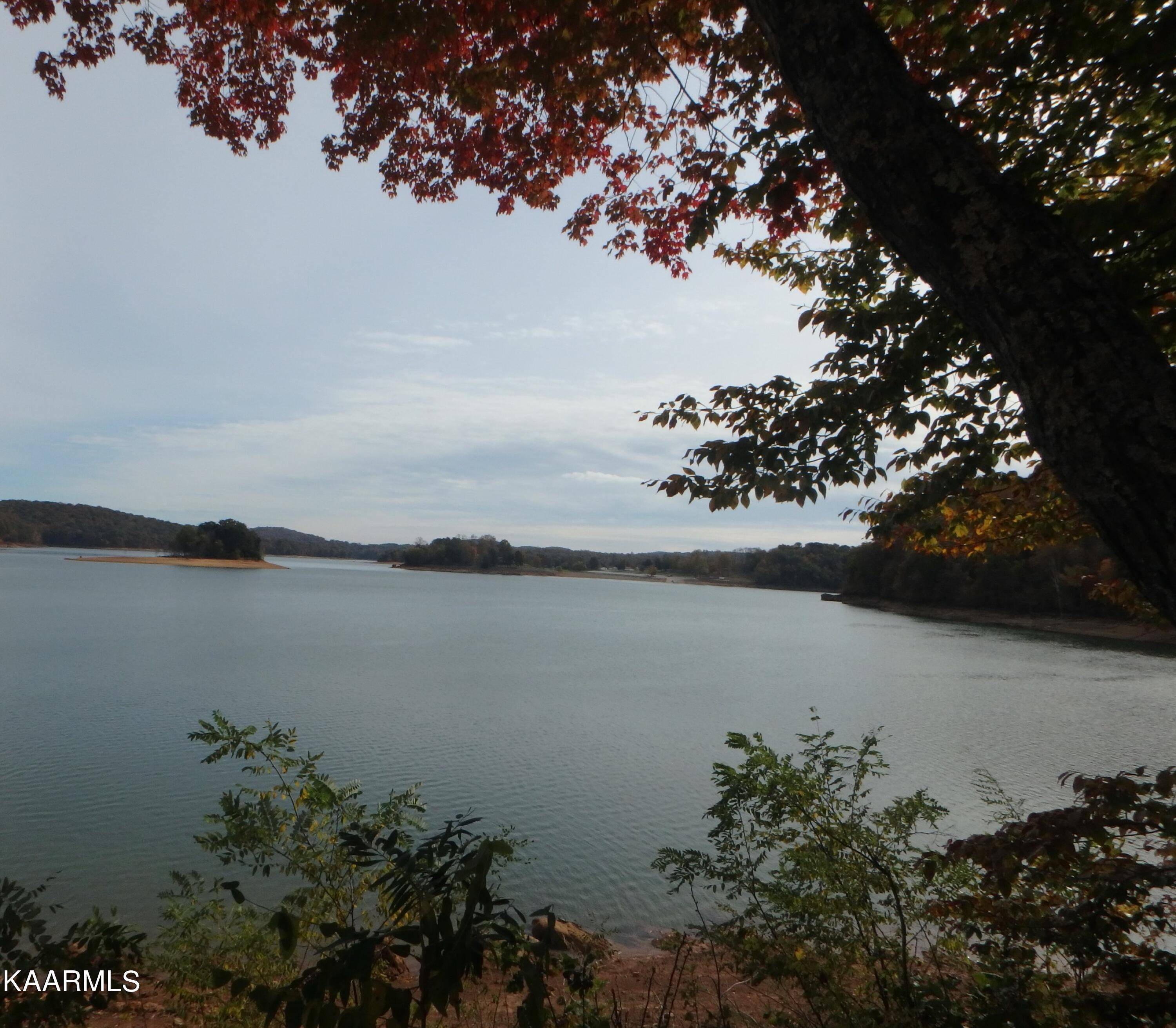 Lafollette, TN 37766,lot 169 Waterside Dr