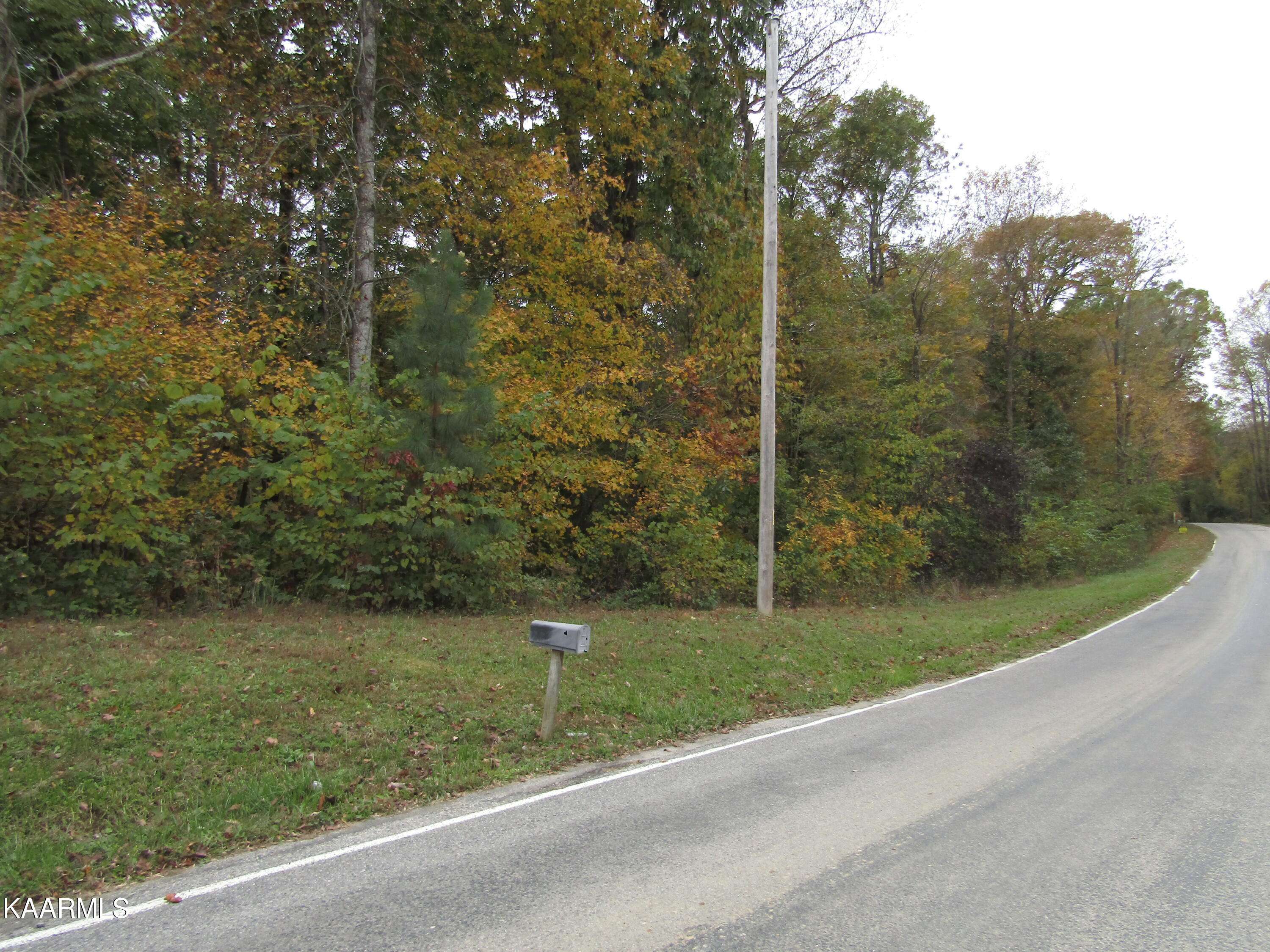 Hilham, TN 38568,11 ac Turkeytown Rd